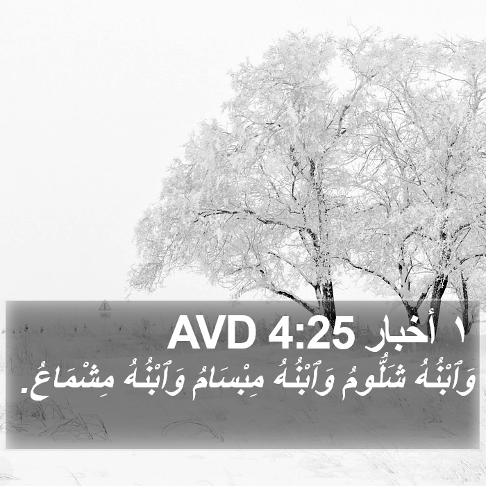 ١ أخبار 4:25 AVD Bible Study