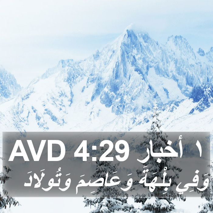 ١ أخبار 4:29 AVD Bible Study