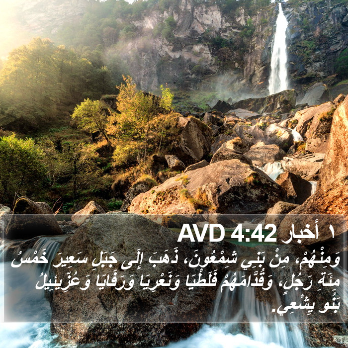 ١ أخبار 4:42 AVD Bible Study