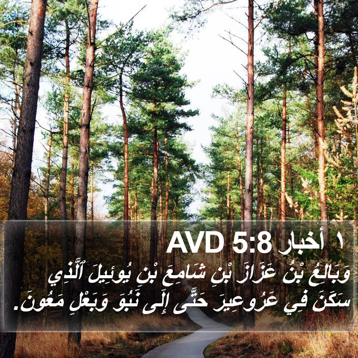 ١ أخبار 5:8 AVD Bible Study