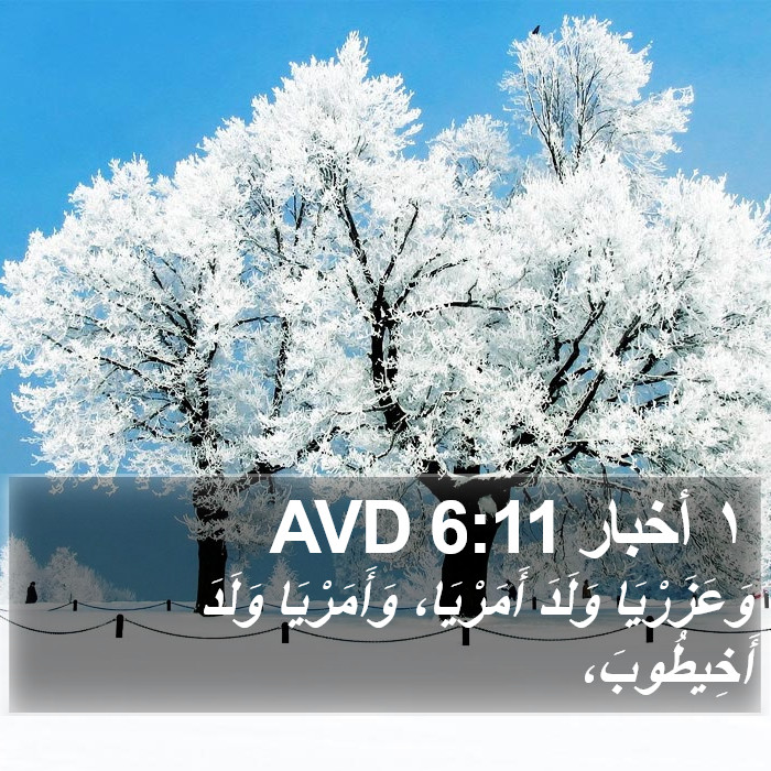 ١ أخبار 6:11 AVD Bible Study