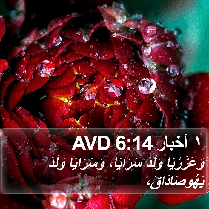 ١ أخبار 6:14 AVD Bible Study