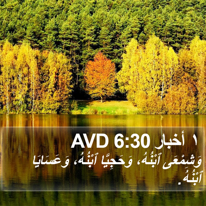 ١ أخبار 6:30 AVD Bible Study