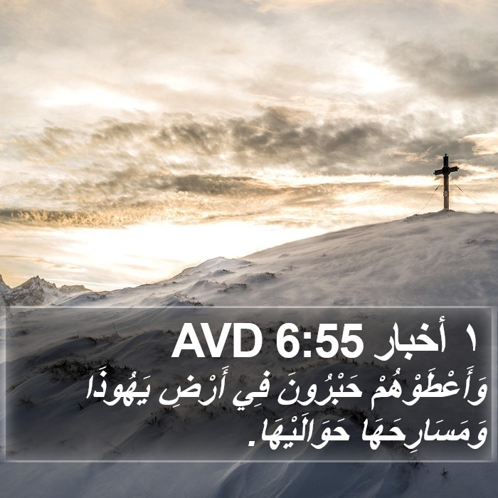 ١ أخبار 6:55 AVD Bible Study