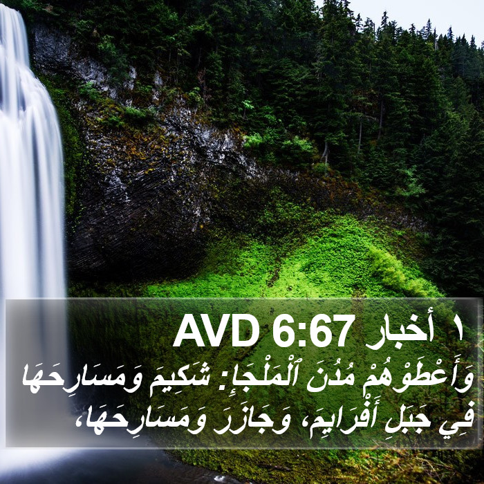 ١ أخبار 6:67 AVD Bible Study