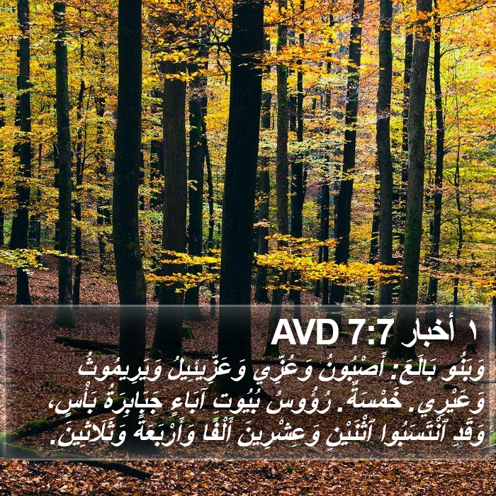 ١ أخبار 7:7 AVD Bible Study
