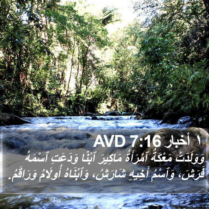 ١ أخبار 7:16 AVD Bible Study