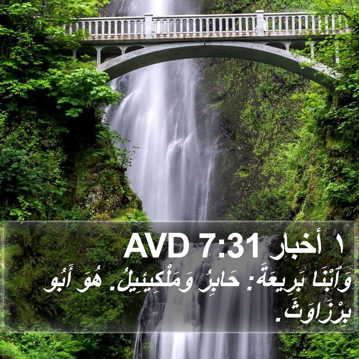 ١ أخبار 7:31 AVD Bible Study