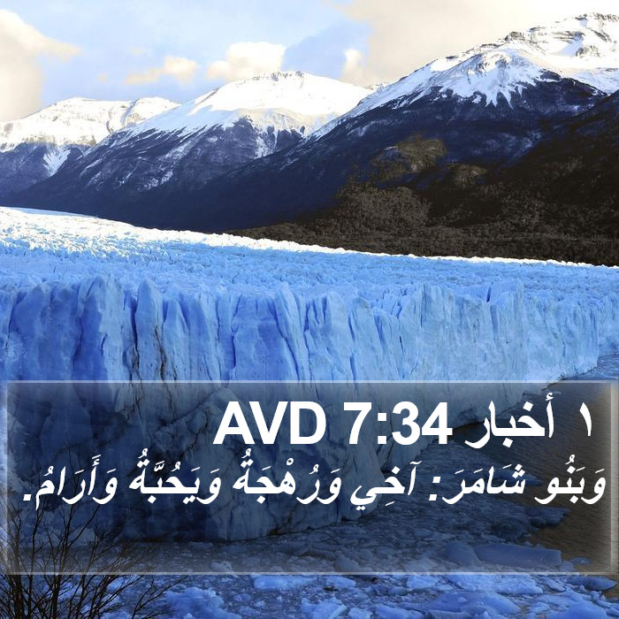 ١ أخبار 7:34 AVD Bible Study