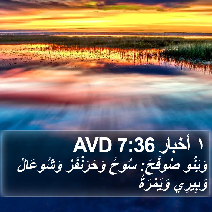 ١ أخبار 7:36 AVD Bible Study