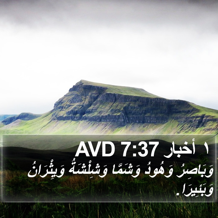 ١ أخبار 7:37 AVD Bible Study