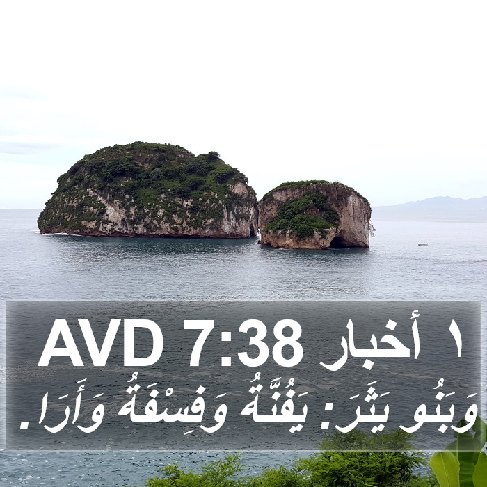 ١ أخبار 7:38 AVD Bible Study