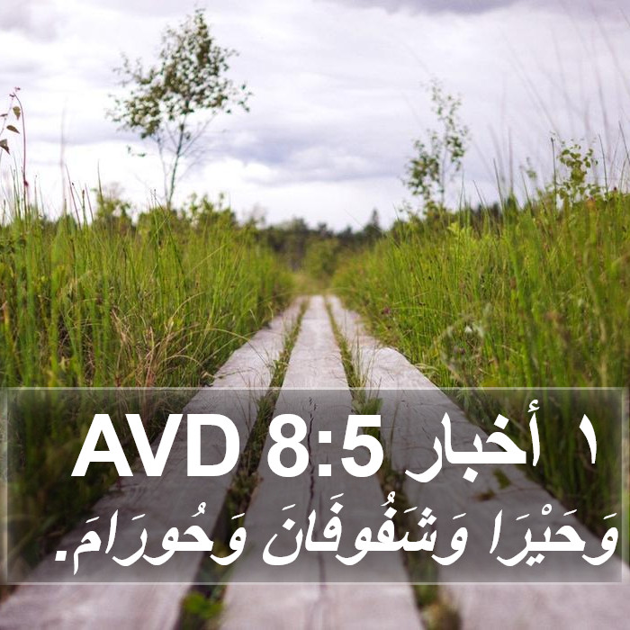 ١ أخبار 8:5 AVD Bible Study