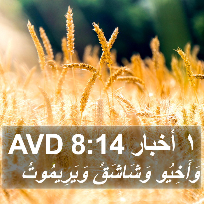 ١ أخبار 8:14 AVD Bible Study