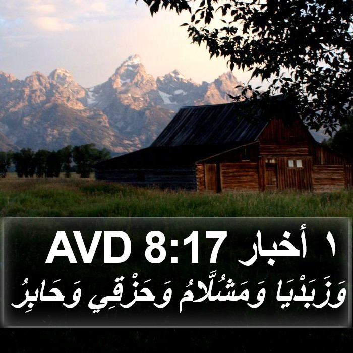 ١ أخبار 8:17 AVD Bible Study