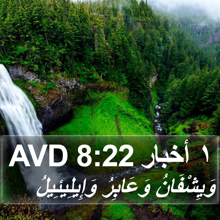 ١ أخبار 8:22 AVD Bible Study