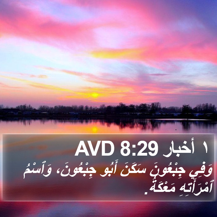١ أخبار 8:29 AVD Bible Study