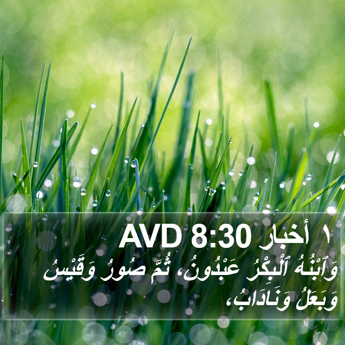 ١ أخبار 8:30 AVD Bible Study