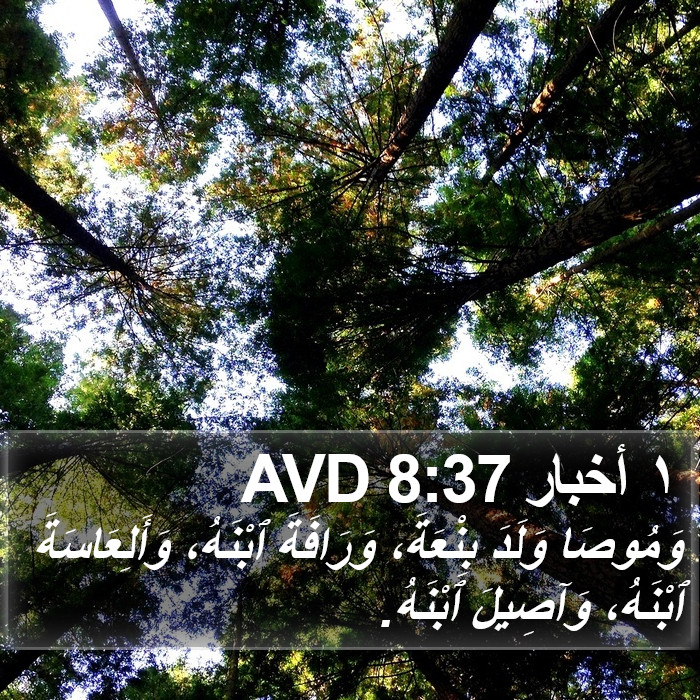 ١ أخبار 8:37 AVD Bible Study