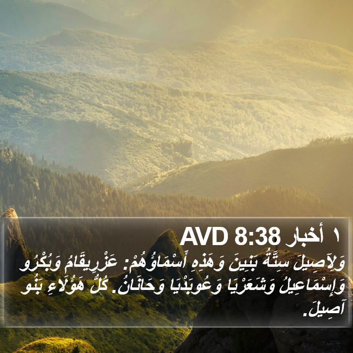 ١ أخبار 8:38 AVD Bible Study