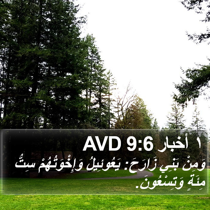 ١ أخبار 9:6 AVD Bible Study