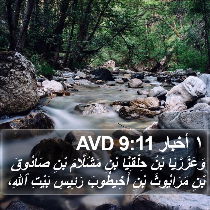 ١ أخبار 9:11 AVD Bible Study