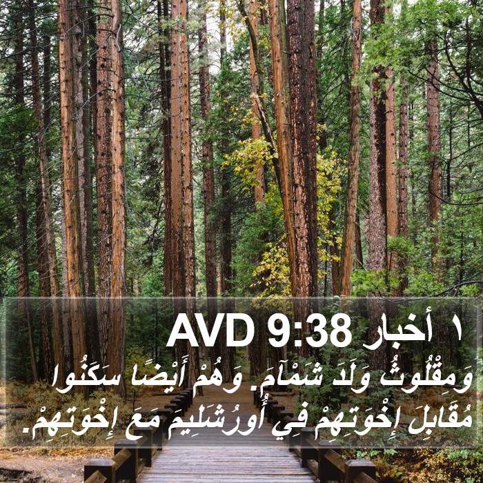 ١ أخبار 9:38 AVD Bible Study