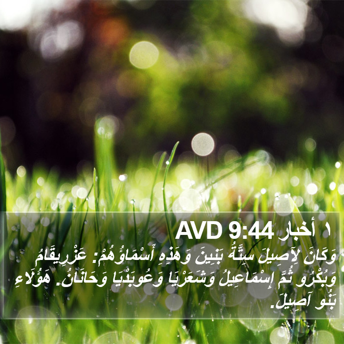 ١ أخبار 9:44 AVD Bible Study