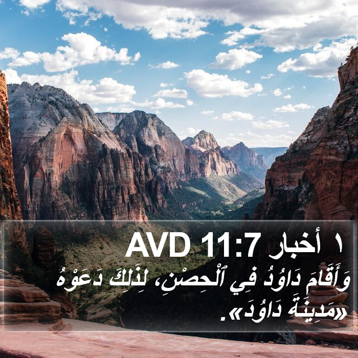 ١ أخبار 11:7 AVD Bible Study
