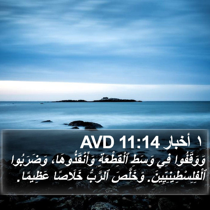 ١ أخبار 11:14 AVD Bible Study