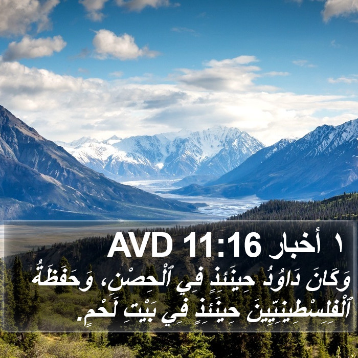 ١ أخبار 11:16 AVD Bible Study