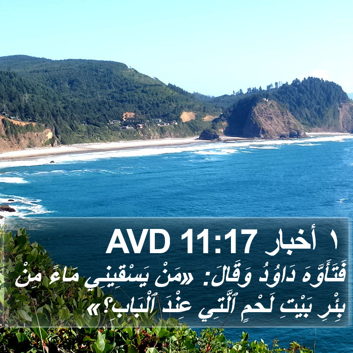١ أخبار 11:17 AVD Bible Study