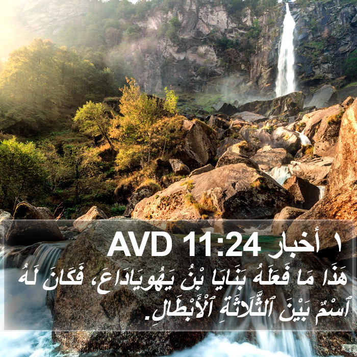 ١ أخبار 11:24 AVD Bible Study