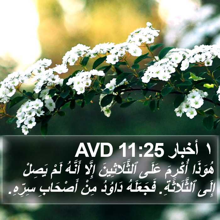 ١ أخبار 11:25 AVD Bible Study