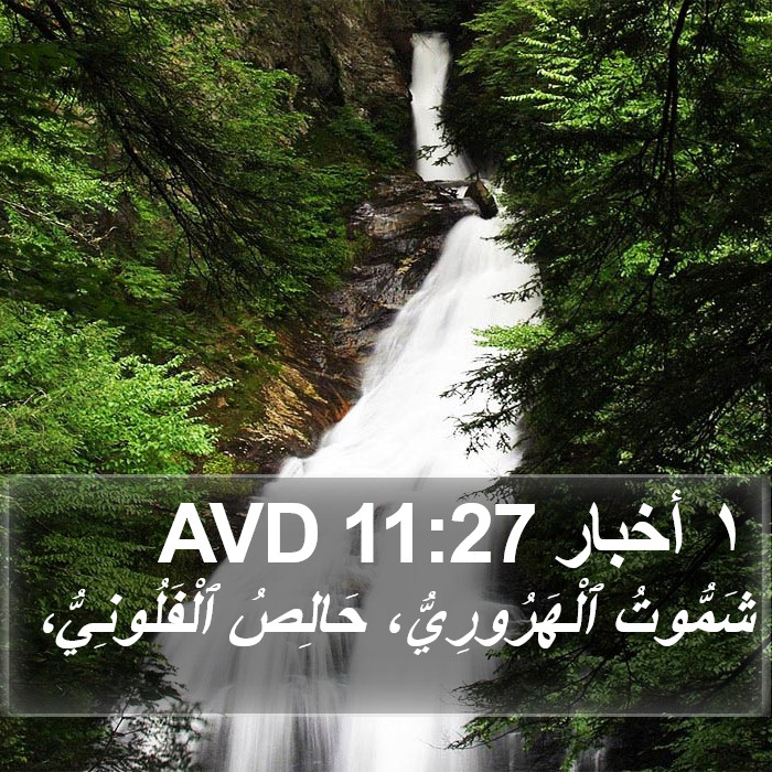 ١ أخبار 11:27 AVD Bible Study