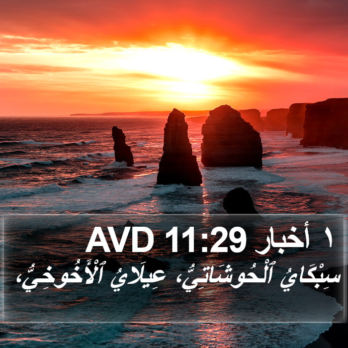 ١ أخبار 11:29 AVD Bible Study