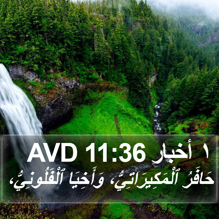 ١ أخبار 11:36 AVD Bible Study