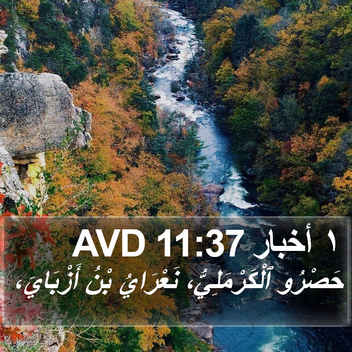 ١ أخبار 11:37 AVD Bible Study