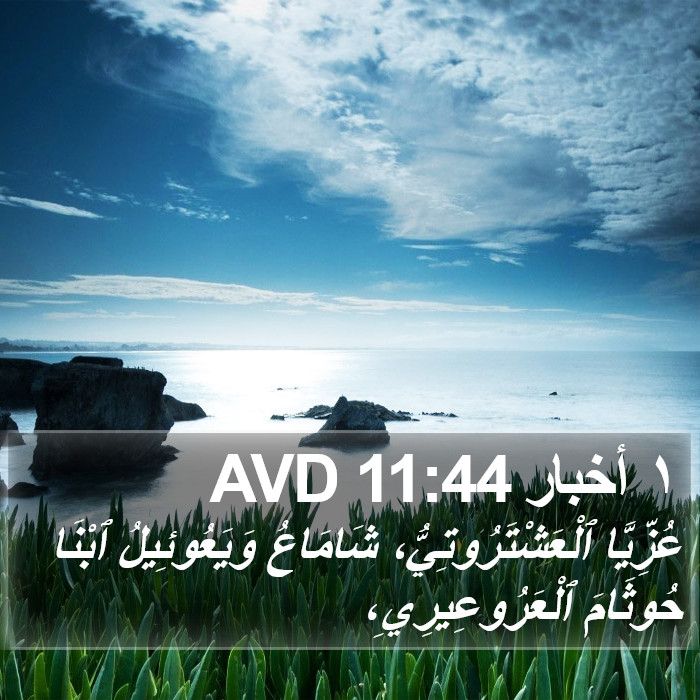 ١ أخبار 11:44 AVD Bible Study