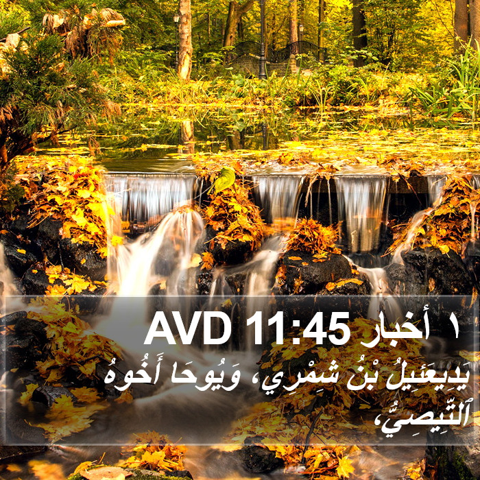 ١ أخبار 11:45 AVD Bible Study