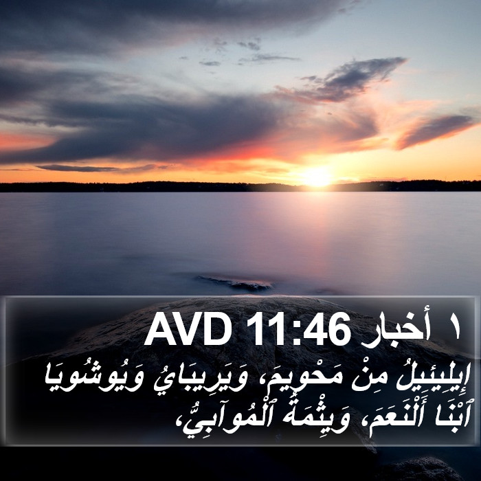 ١ أخبار 11:46 AVD Bible Study