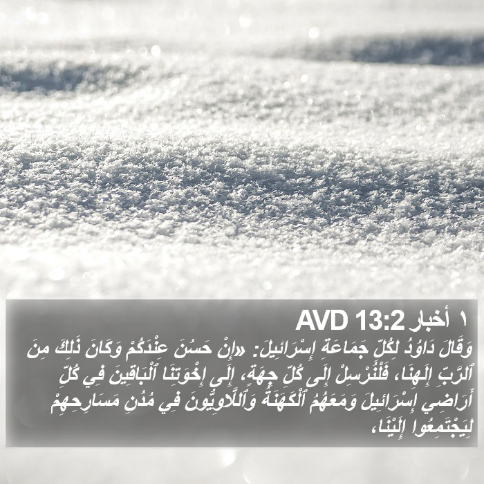 ١ أخبار 13:2 AVD Bible Study