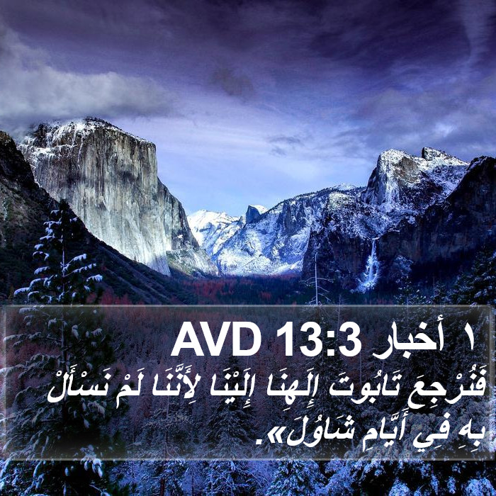 ١ أخبار 13:3 AVD Bible Study