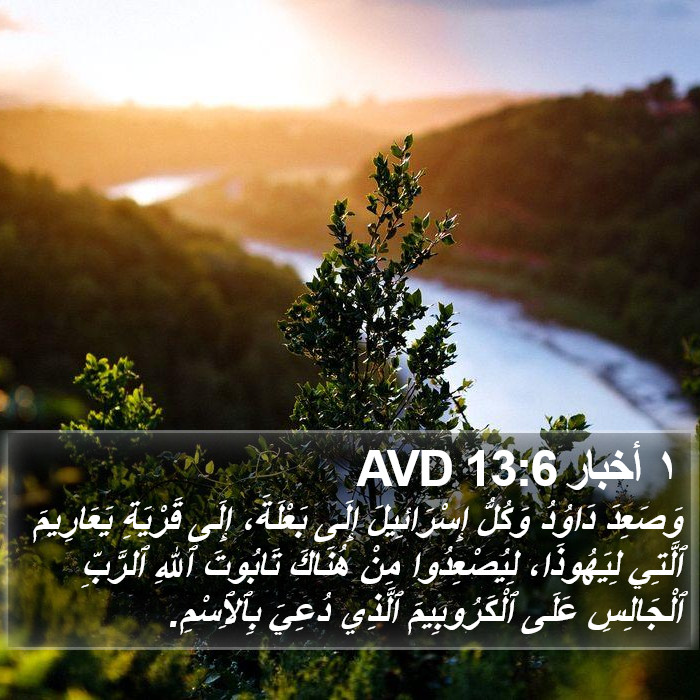 ١ أخبار 13:6 AVD Bible Study