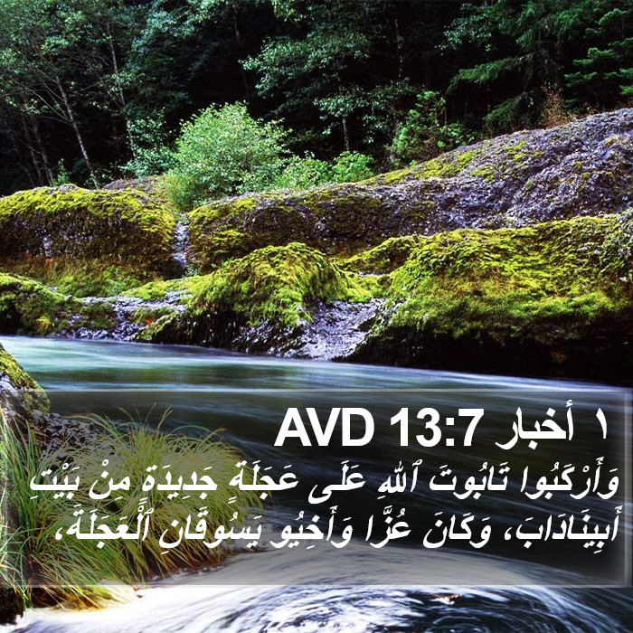 ١ أخبار 13:7 AVD Bible Study