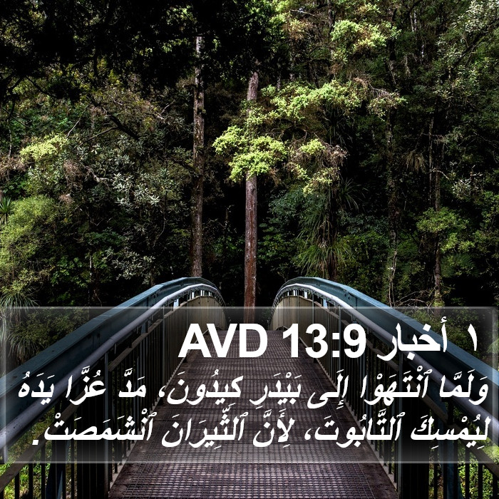 ١ أخبار 13:9 AVD Bible Study