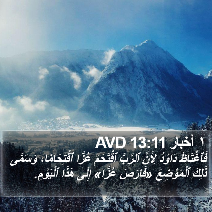 ١ أخبار 13:11 AVD Bible Study