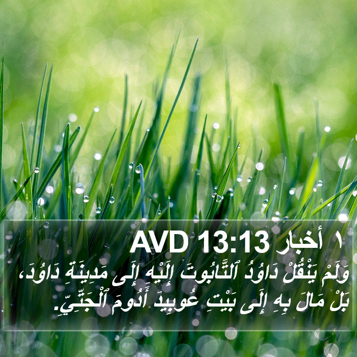 ١ أخبار 13:13 AVD Bible Study