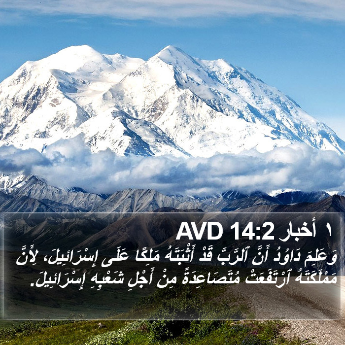 ١ أخبار 14:2 AVD Bible Study