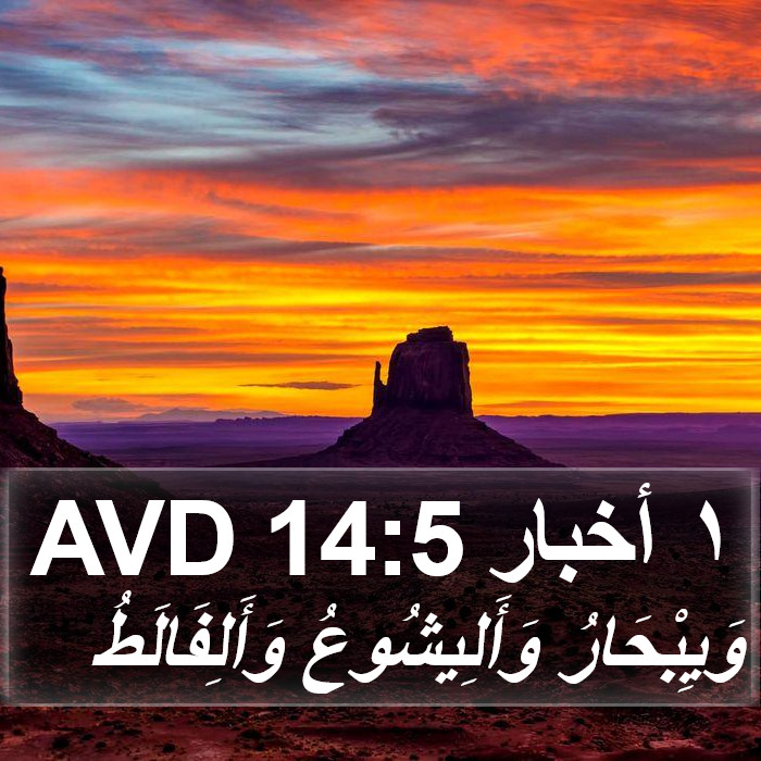 ١ أخبار 14:5 AVD Bible Study